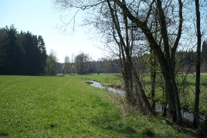 Hier schlengelt sich der Hiltenbach durch die Wald- und Wiesenlandschaft. Die Aufnahme ist in der Nhe von Langwald gemacht worden.