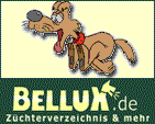 Bellux.de - Züchterverzeichnis und mehr!