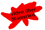 video_Stamsried